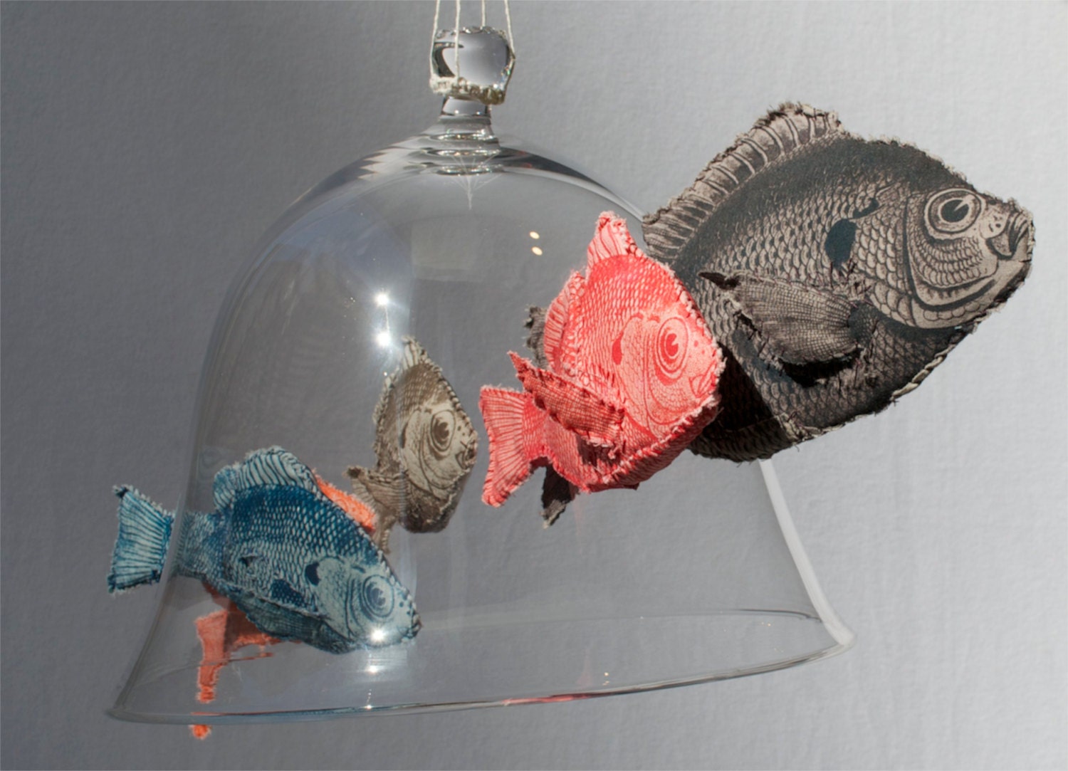 Colorful Fish Swimming through Hand-Blown Bell Jar