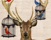 Deer Bird Cages 14x11 Art Poster Original Illustration Mixed Media Digital Print Deer Print Animal painting wall decor wall art stag