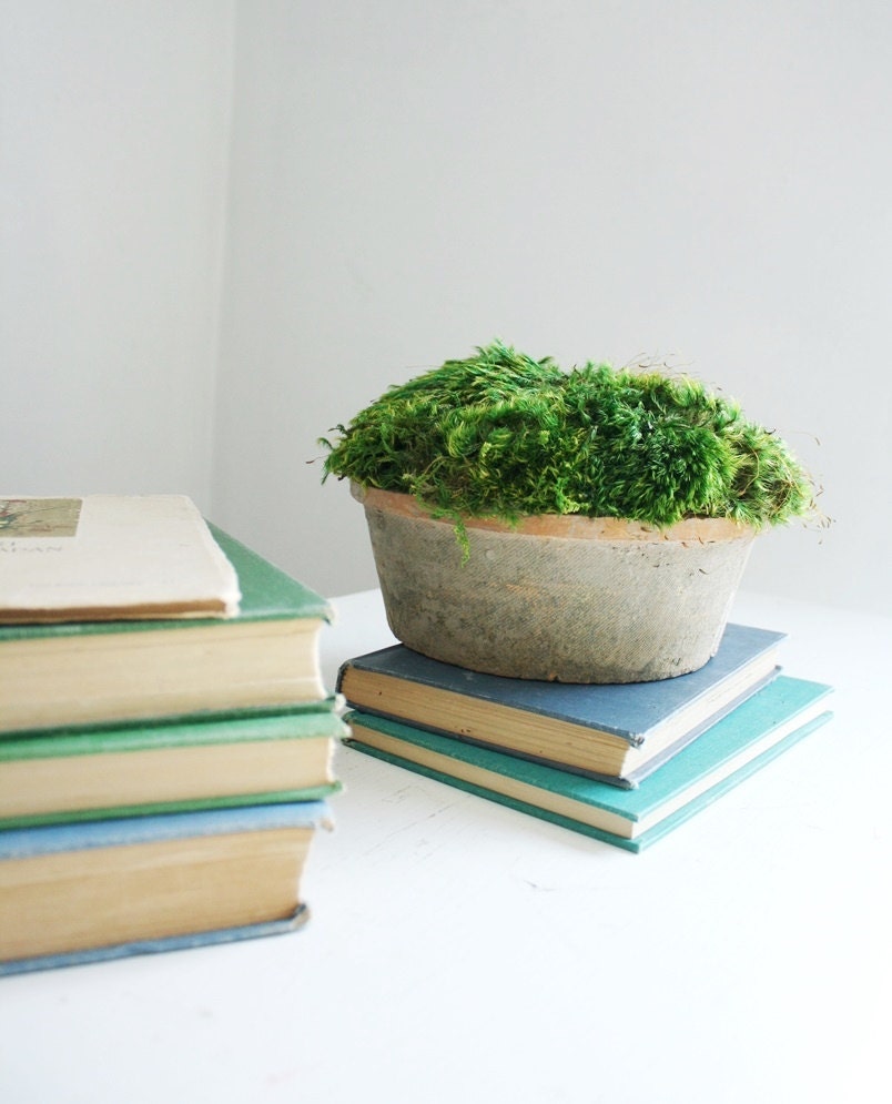 NEW- moss mound in aged terra cotta- preserved moss arrangement