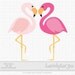 Pink flamingo clipart, a pair of pink birds digital PNG clip art (30)