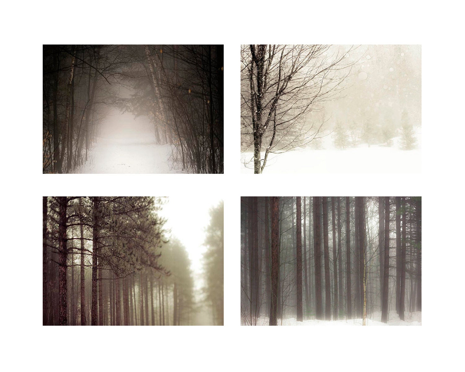 Nature Photography Gift Set - Collection of 4 wall decor prints in brown and white - winter snow - forest, fog, trees, mystical