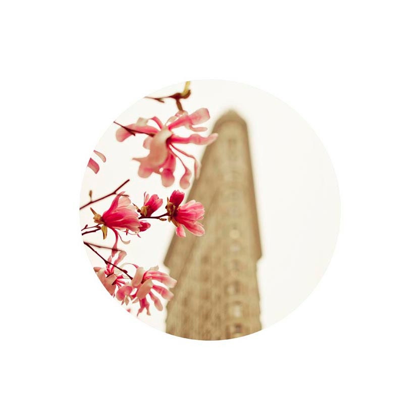 New York, Flatiron Building with Magnolias, geometric decor gift idea for women, Pink, beige 8x10