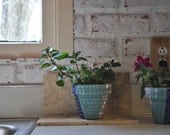 Herb Garden Kit Gift With Tile Mosaic Pots-Blue & White
