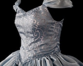 Adult Cinderella New Parks Custom Costume