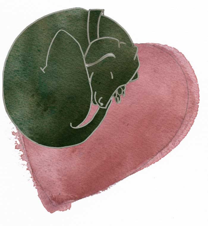 Greeting Card: Dog and Heart