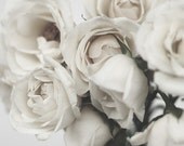 Ethereal White Roses Print, Shabby Chic, Cottage Chic, Cream, Feminine, Romantic, Color 10x8" Fine Art Wall Print