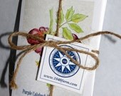 Heirloom Tomato Seed Collection - 1840 Farm Heirloom Seeds
