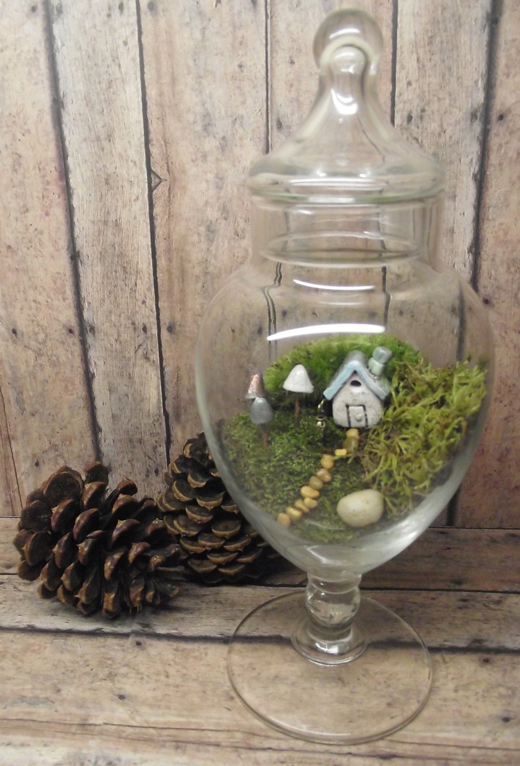 Unique Terrariums in Stock. Miniature Landscape Live Moss Terrarium with tiny raku fired house in unique glass Handmade by Gypsy Raku