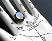 Galactic Forest Ring