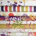 PIPER Half Yard Bundle  - DEAR STELLA Cotton Quilting Fabric - 8 pcs