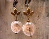 REAL DANDELION in glass lentil earrings/ vintage style with real dandelion seeds