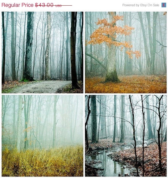 4th of July Sale Four 5x7  woodland tree Photographs . Fog series . nature photography . rustic home decor . cottage art . ready to frame .