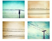 Bird on Wire Photo Set - Four 11x14, 8x10, 5x7 Photographs - teal beige turquoise aqua blue brown nursery art prints baby boy girl photos