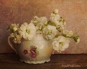 Fine Art Photograph, Flower Wall Art Print, Botanical Still Life, Vintage Inspired, Cottage Decor, Floral, White