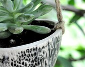 Wabi Sabi Hanging Planter // Succulent Planter // Glazed
