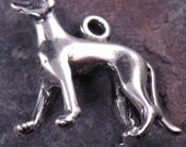 Add A Charm Dog