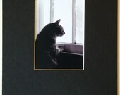 Matted Photograph ACEO Sebastian 1 