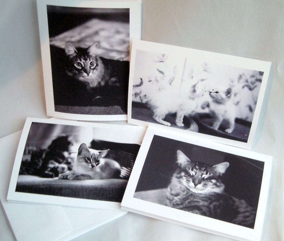 Cat notecards