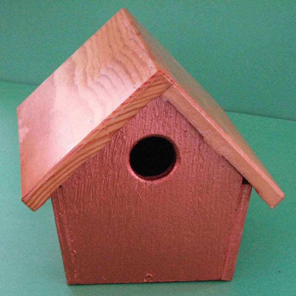 Painted Wren Birdhouse