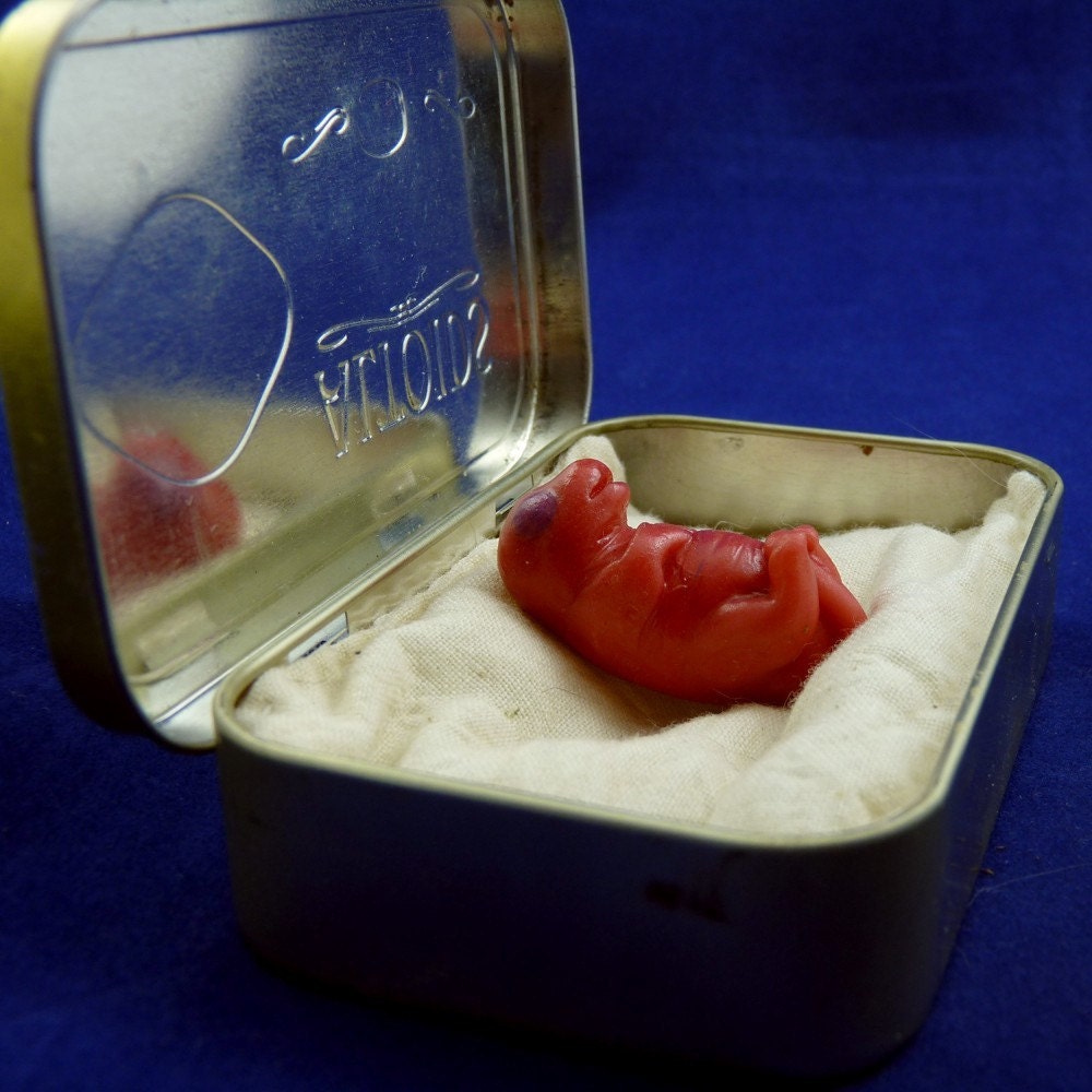 Baby Rat in Altoid Tin- Original Mixed Media Rodent Sculpture