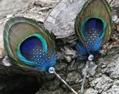 Tamara Peacock Feather Hairpin -BLUE