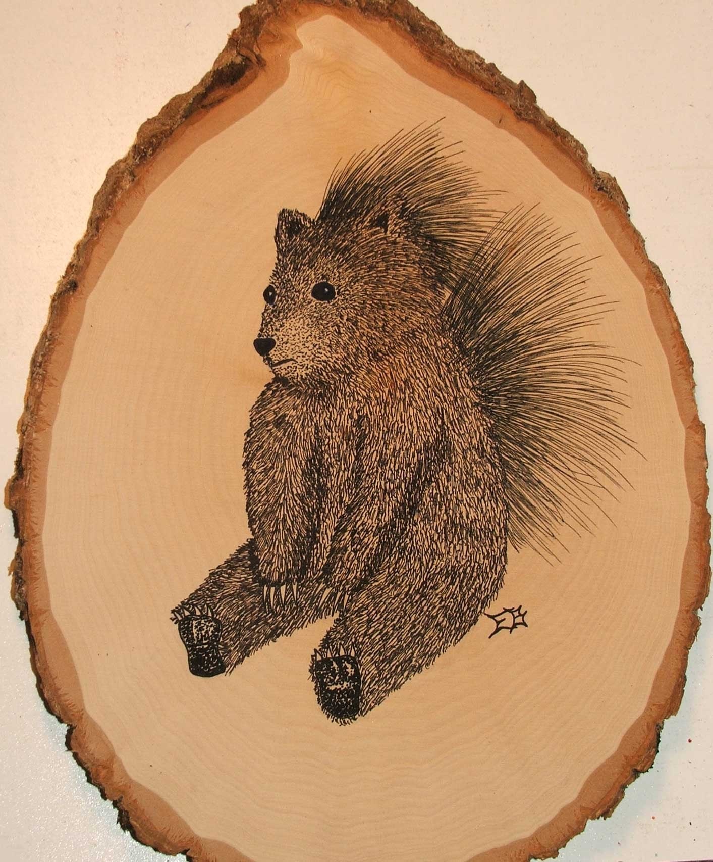 Bearcupine