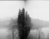 fog