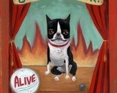 Boston terrier circus sideshow print by B Rubenacker