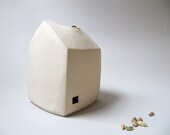 Modern House With Pocket