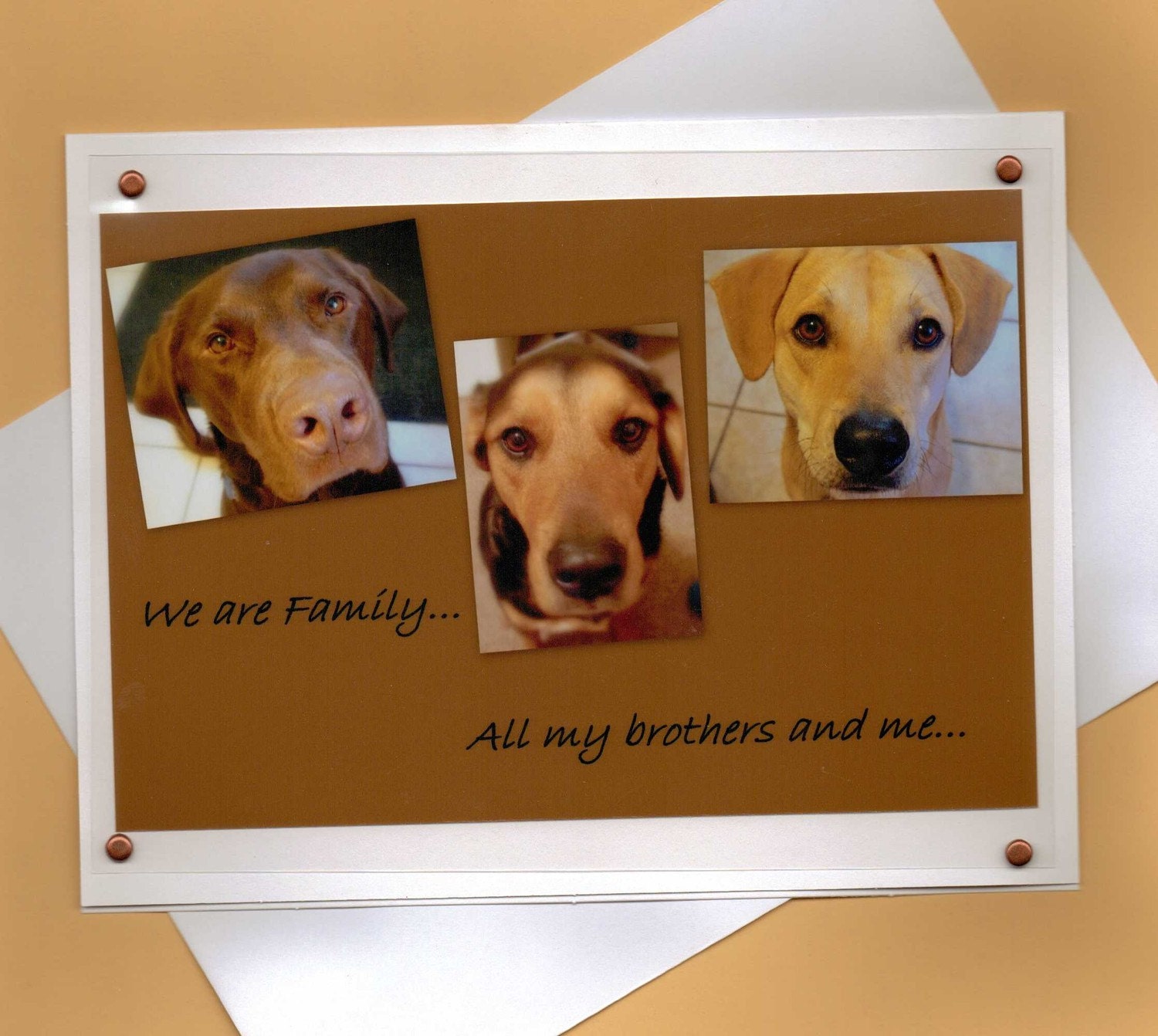 Chocolate Lab Dog-Husky Mix Dog-Shepherd Mix Dog Handmade Greeting Card-We are Family...All my brothers and me-for Dog Lovers