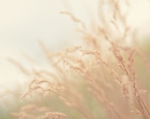 ready to ship, neutral nature photograph / earth tones, grass, wheat, oatmeal, beige / blowing in the wind / 8x10 fine art photo