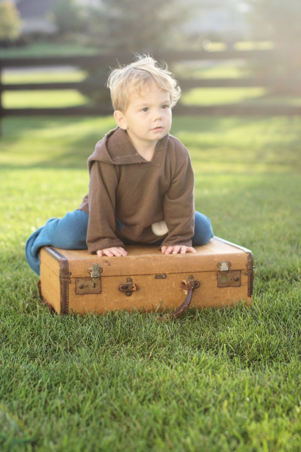Bluegrass Banjo Organic Kids Hoodie