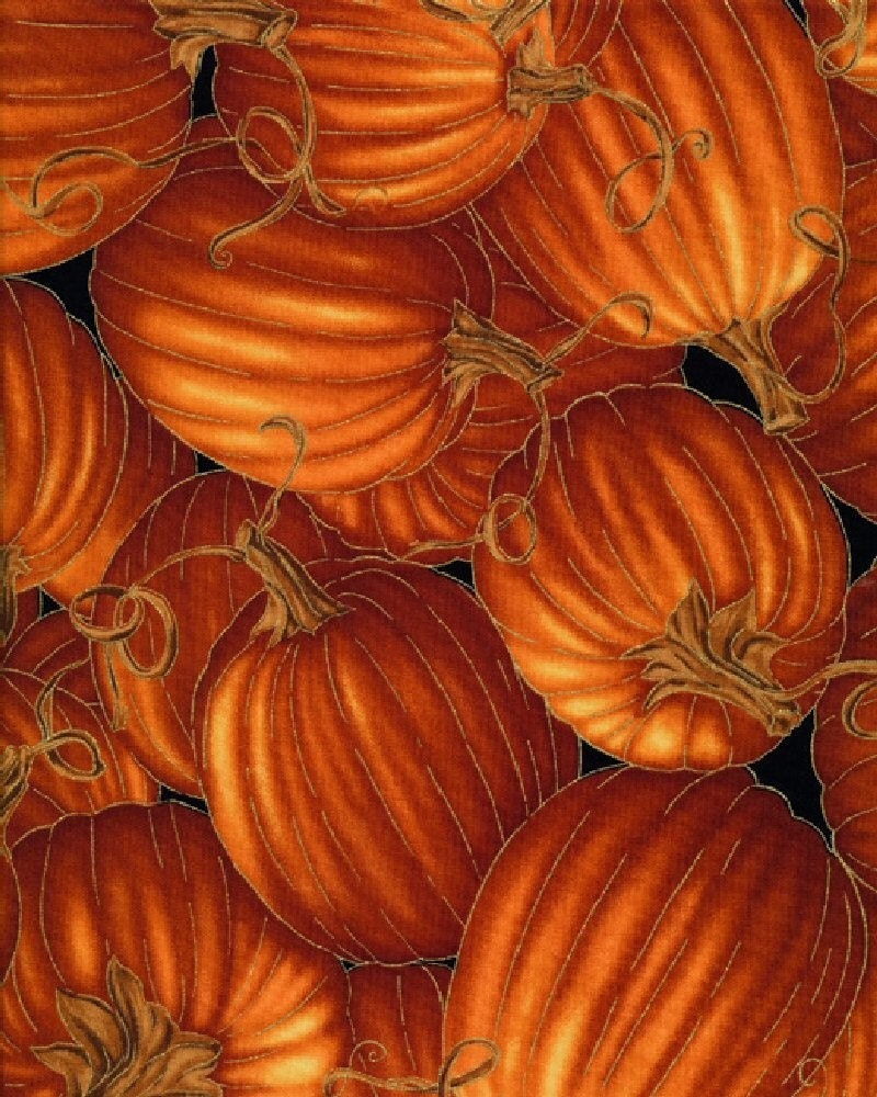 Harvest Celebration - Pumpkins - Timeless Treasures - 1 yard