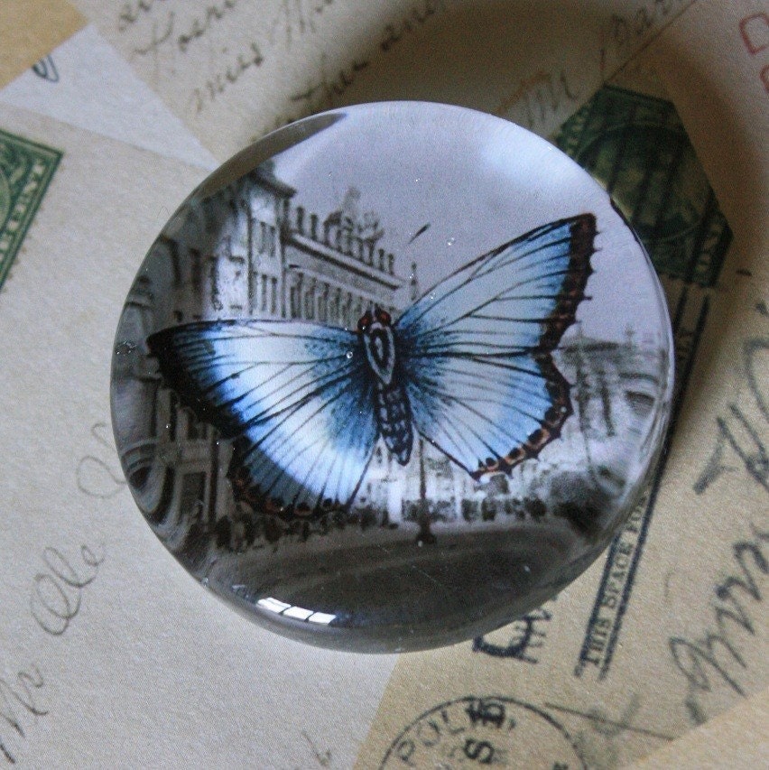 aqua butterfly paperweight