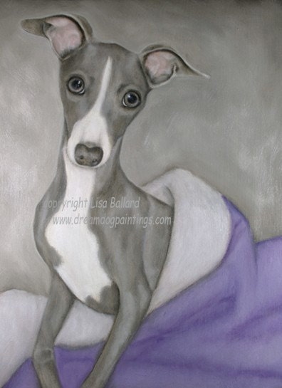 Iggy Sweetness - Italian Greyhound / Whippet Print