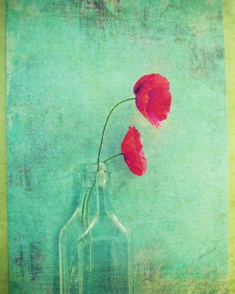 Two red poppies vintage glass bottle aqua blue teal Poppy flower photo romantic sweet  "Loves language" - 8x10 Fine Art Photograph