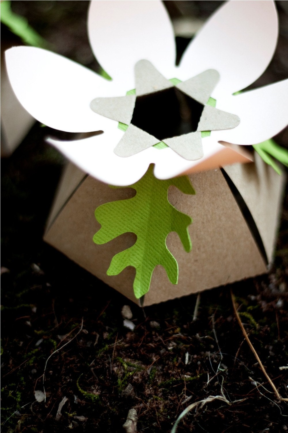 OAK LEAF add-on for our DIY favor boxes -10-count