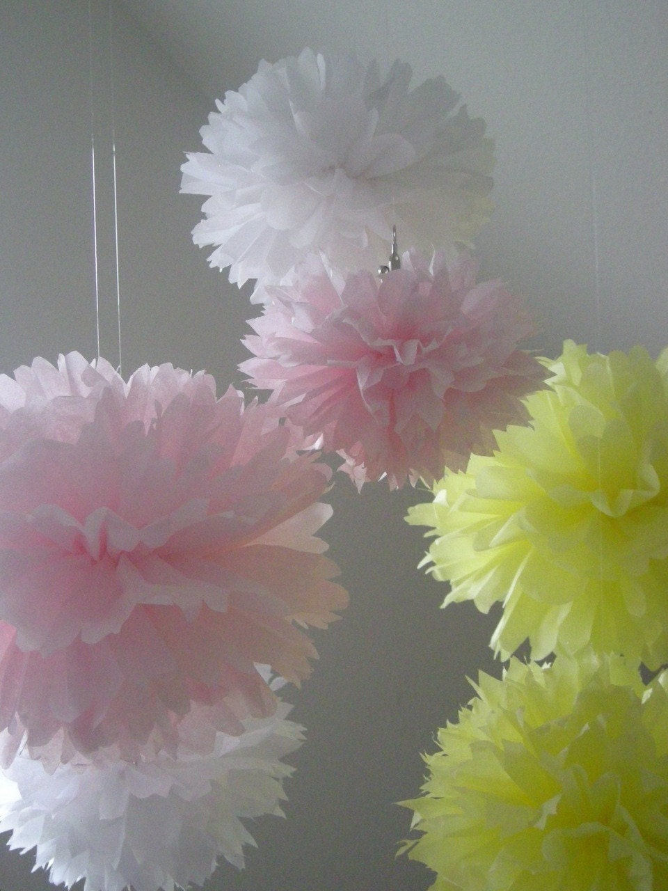 Miss Macy... pom mobile