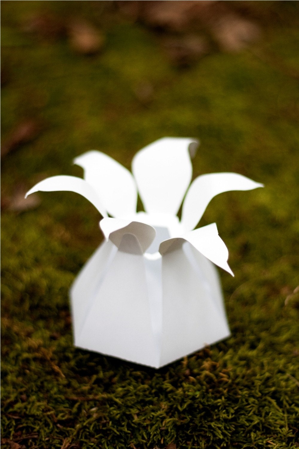 make your own LILY paper flower wedding favor box - COMPLETE kit for 10-count DIY boxes