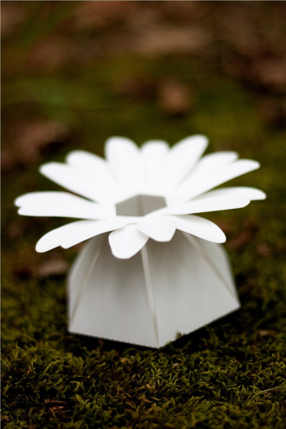 DIY - make your own paper flower wedding favor box - COMPLETE kit for 10 gerbera daisy boxes