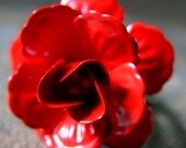 Cause You Know Darlin - Red Rose Ring
