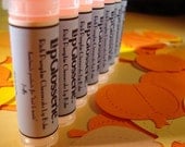 Vegan Lip Balm - Pumpkin Cheesecake - Handmade
