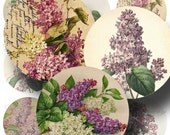 Antique Lilac Botanicals for Pocket Mirrors (1) - Digital Collage Sheet - 2.5 Inch Round - Buy 3 sheets and get 4th FREE - Printable Download