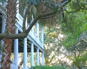 Daybreak at Baynard - Beaufort, SC - An Original Photograph by Melissa Schneider