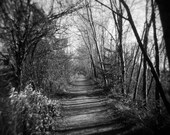 path