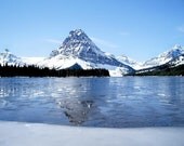 Set of 5 Winter Greeting Cards