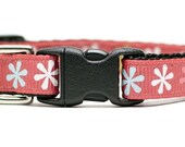 Cat Collar - The Viva
