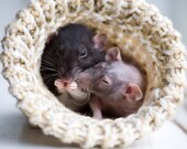 medium rat hamster gerbil bed