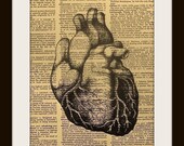 Art Print Anatomical Heart 8x10 Dictionary Gold Gilded Vintage Page