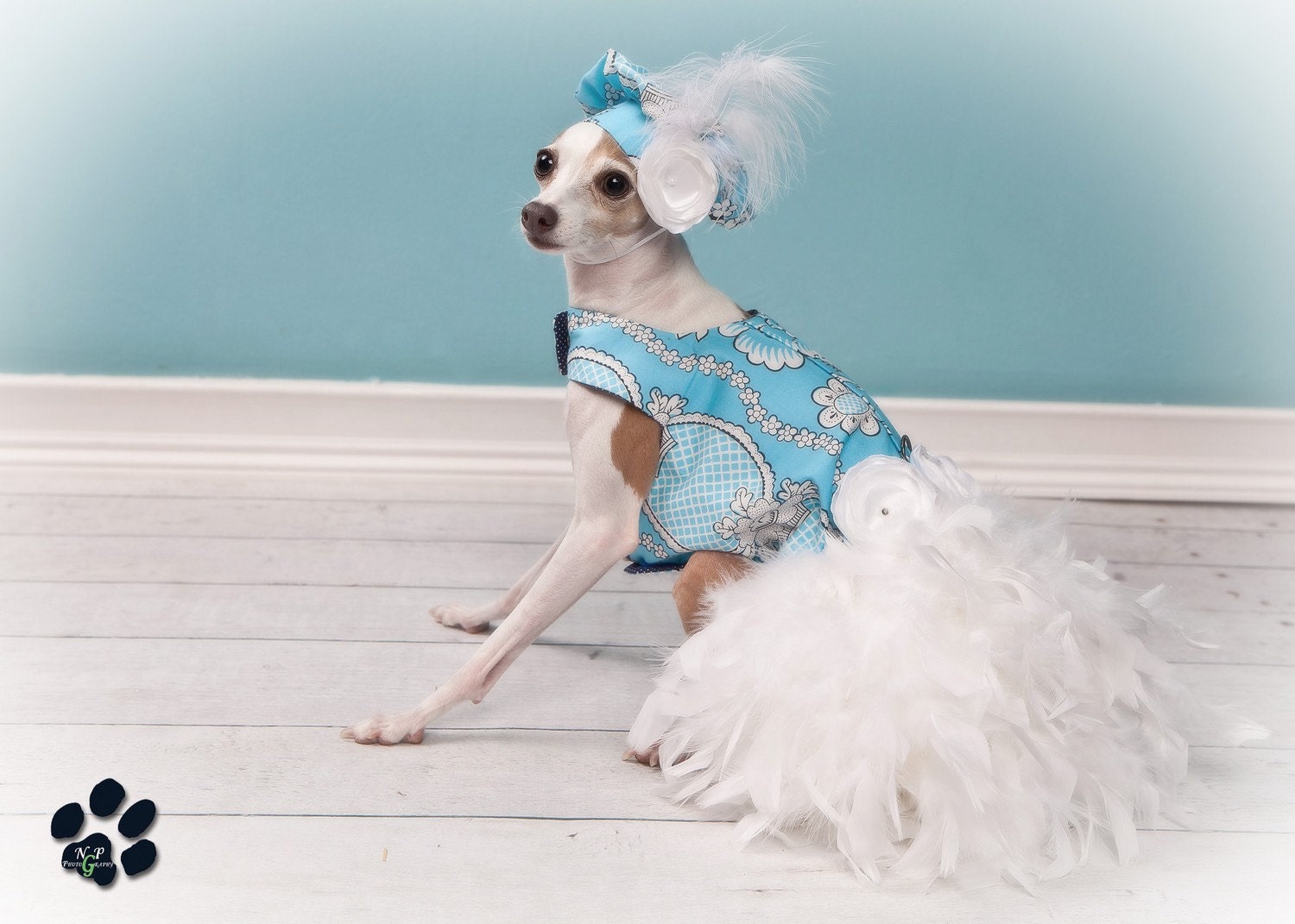 Baby Blue Feather Harness Dog Dress - Limited Edition